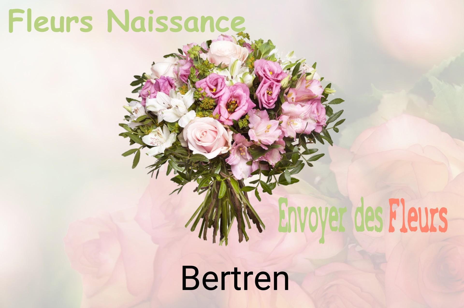Bouquet de fleurs de naissance livré à Bertren